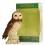 Whyte & Mackay Royal Doulton - Short Eared Owl Ceramic Decanter