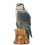 Whyte & Mackay Royal Doulton - Falcon Ceramic Decanter
