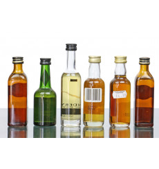 Assorted Miniatures x 6 Incl Benromach 10