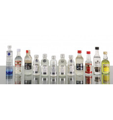Assorted Vodka Miniatures (12x5cl)