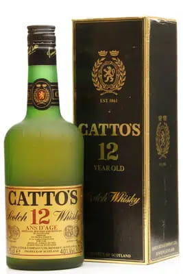 Cattos 12 Years Old Ans DAge
